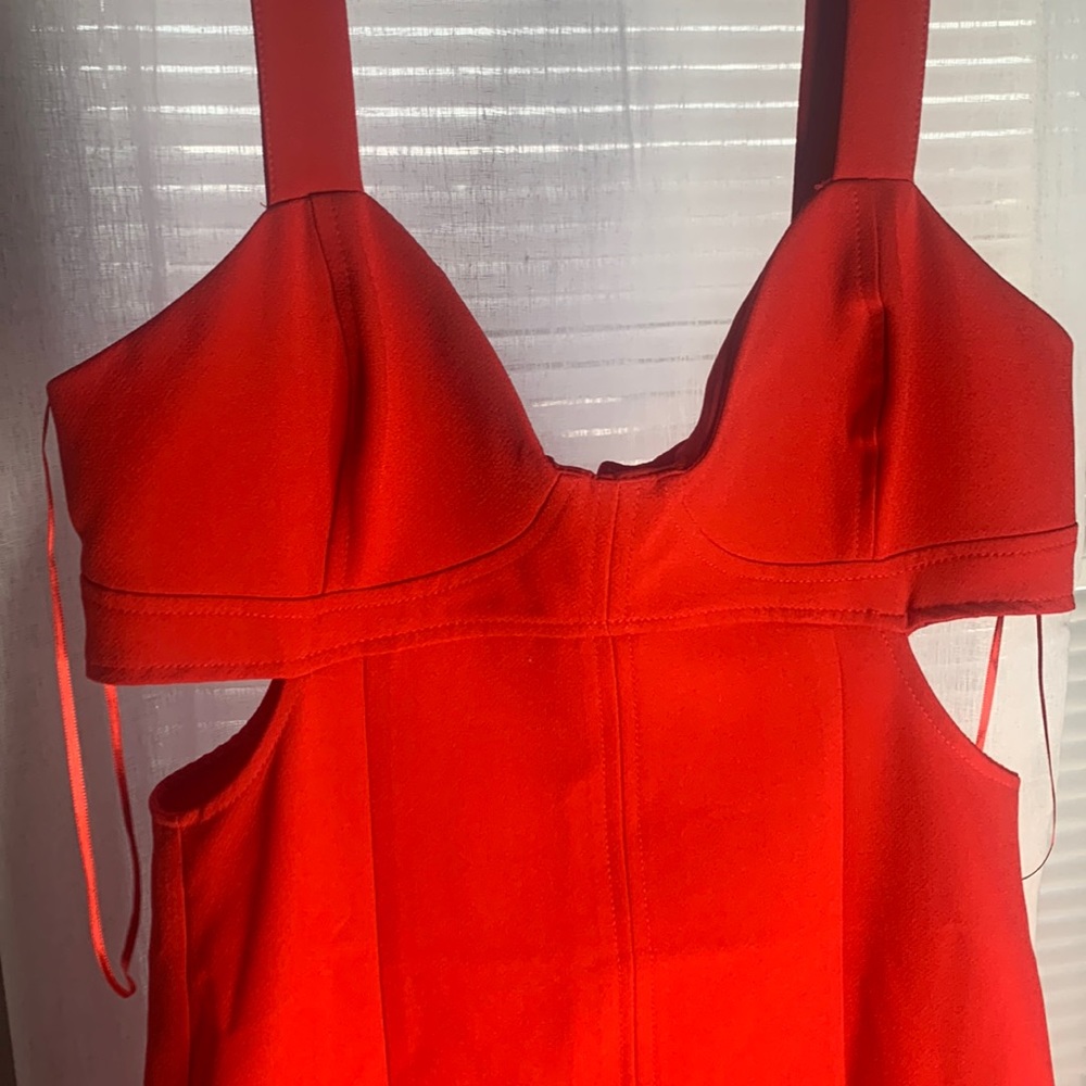 Zara Red Dress